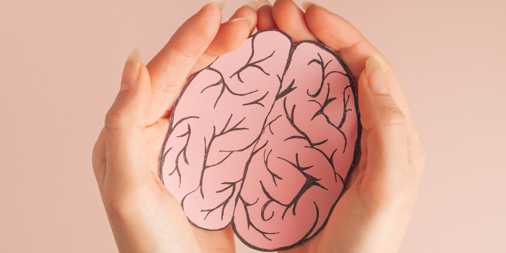 ¿Cuál es el mejor alimento para el cerebro? ¡Elige fuentes de Omega-3!