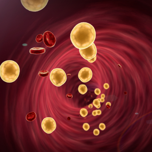 Tengo el colesterol alto pero no quiero tomar estatinas: ¿podría ser Cardiol el producto adecuado?