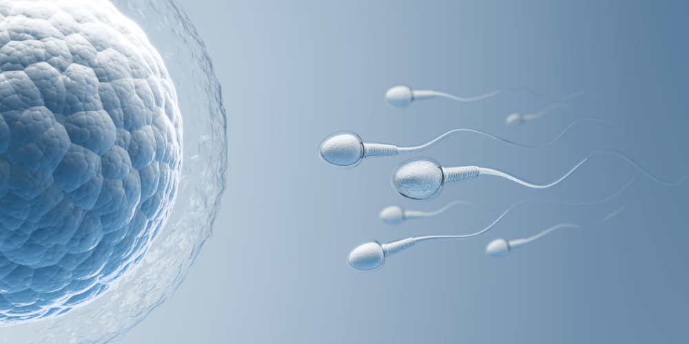 Omega-3 y fertilidad masculina y femenina
