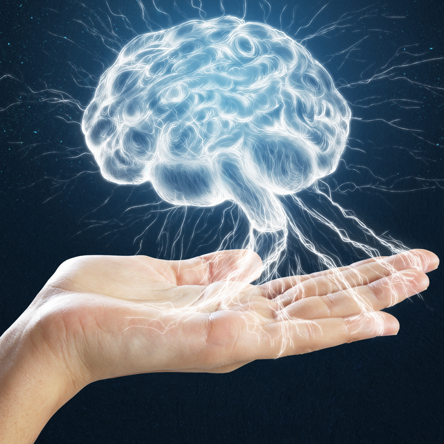 Los niveles bajos de Omega-3 merman las capacidades cognitivas