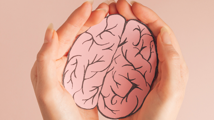 ¿Cuál es el mejor alimento para el cerebro? ¡Elige fuentes de Omega-3!