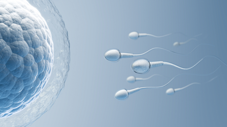 Omega-3 y fertilidad masculina y femenina
